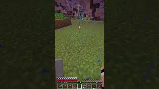Не устраивает скин #shortsminecraft #shorts #minecraft #майнкрафт #шортс #майнкрафтприколы