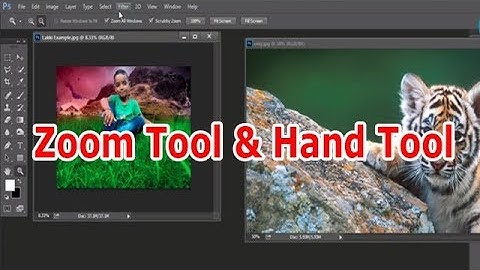 # 02 Photoshop Basic Tutorial Zoom Tool & Hand Tool  Full Information in Hindi