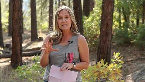 Lectio Divina - Step by Step Guide