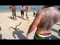 Таиланд  - остров ко.Пи Пи - змей на пляже #1