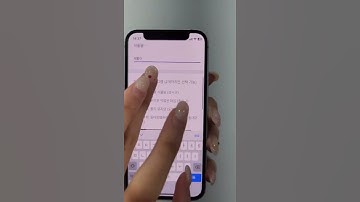 토요일 외부활동 설문지 제출 방법