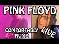 Musician reacts to pink floyd comfortably numb live first time hearing pf live
