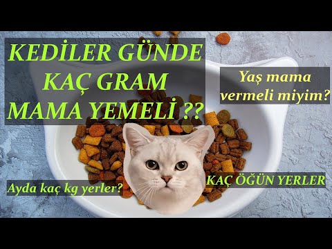 Video: Care com ne tür bir geçmiş kontrolü yapar?