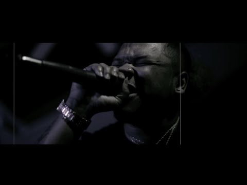 All Videos