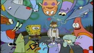 Yeah Who Needs Dumb Old Texas???