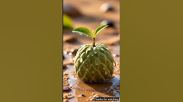 The monkey saved the custard apple plant from drying up by watering it 😭 #ai #tree #save #monkey