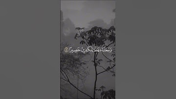 مقتطفات من سورة الإسراء بصوت القارئ مشاري العفاسي