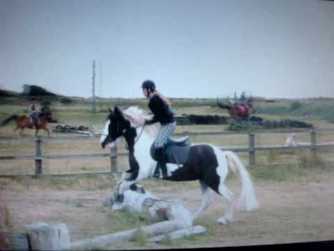 NORTH HUMBERSIDE RIDING CENTER - Riding camp 27 ju...