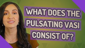 What does the pulsating Vasi consist of?