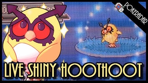 LIVE!! Shiny HOOTHOOT + SHINY PATCH at chain of 40