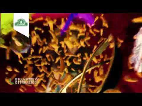 ١٠ يونيو ٢٠١٩