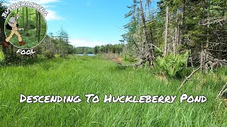 Descending to Huckleberry Pond, Kind Of... | Five Ponds Wilderness