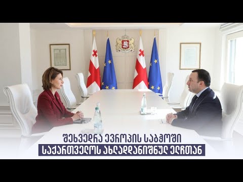 შეხვედრა ევროპის საბჭოში საქართველოს ახლადდანიშნულ ელჩთან