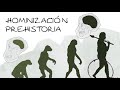 PREHISTORIA. PROCESO DE HOMINIZACION