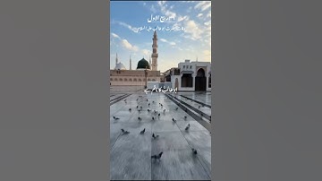 26 Rabiul Awwal | Wafat Hazrat Abu Talib a.s #hazratabutalib #ytshorts  #mncreations #aliibnabitalib