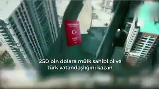 Arap televizyonlarında \