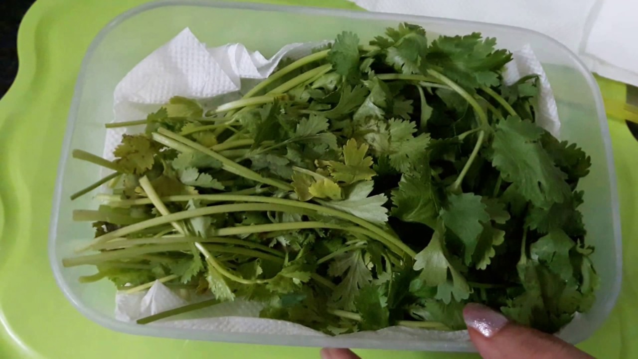 How to keep Coriander Leaves Fresh For Long time/ How to store coriander Leaves | indian food and beauty