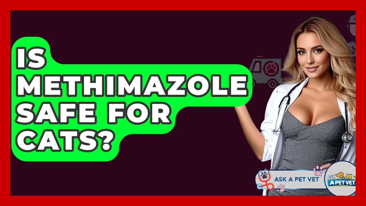 Is Methimazole Safe For Cats? - Ask A Pet Vet