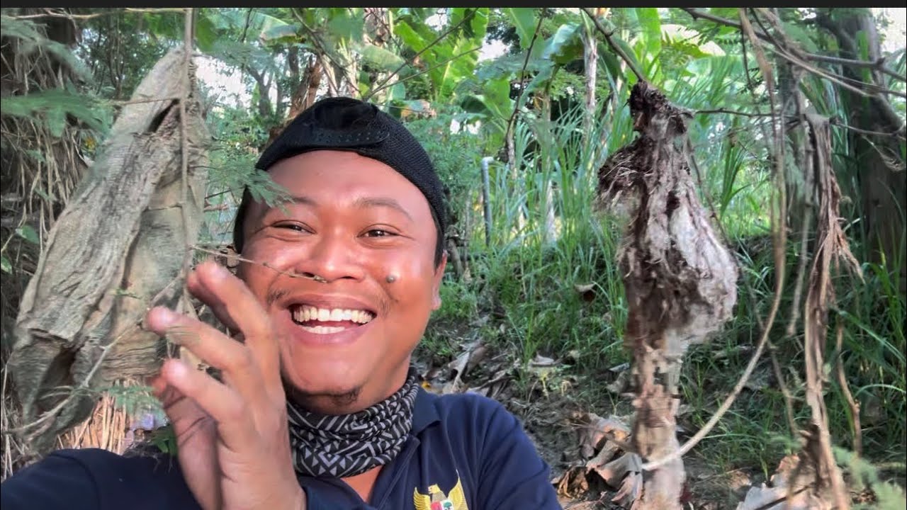 Kacau… ada popok bayi nyangkut dipinggir sarang, untung burungnya betah2 saja 🤣