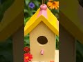 How to Make a DIY Birdhouse from Recycled Materials