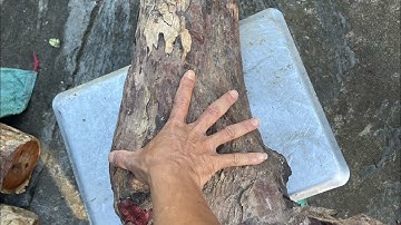 GL cục cẩm chỉ krôngpa đặc tịt tinh lõi 17kg đục đẽo các kiểu giá lh033 891,8991 thương gỗ quý