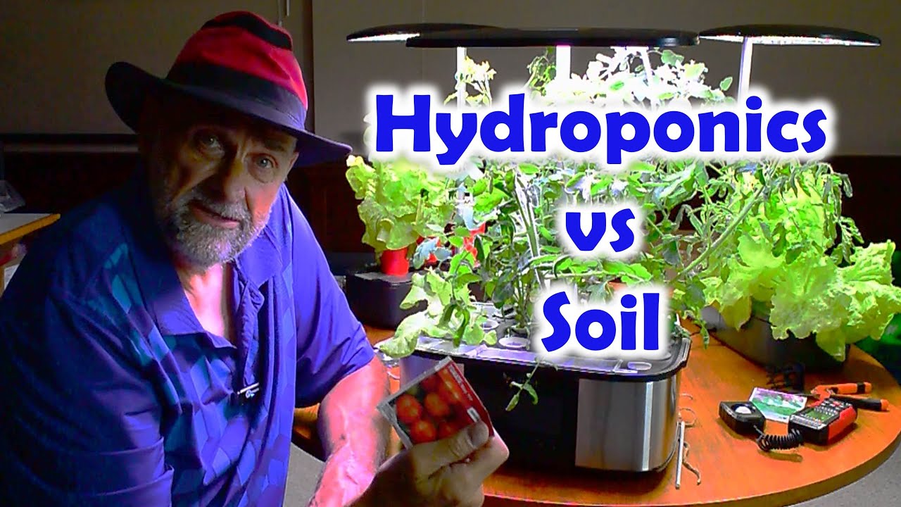 Гидропоника против выращивания в почве и Letpot Max Garden против No-name Aerogarden