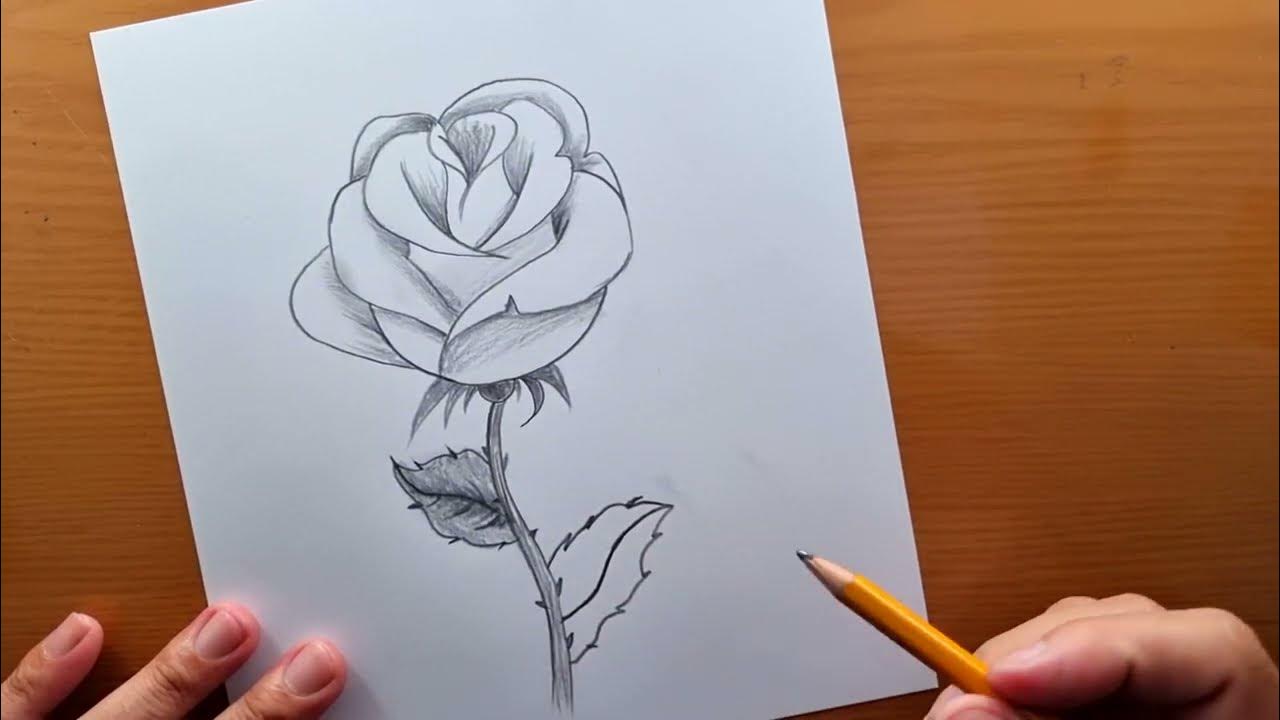 ROSE Dessin Facile 🌹au crayon  Comment dessiner une rose étape par étape  