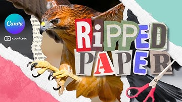 Custom Paper Collage Animation in Canva! 🎨✂️