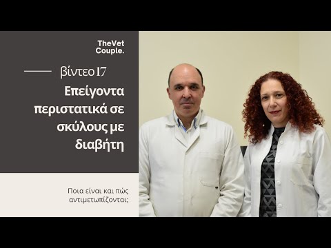 Επείγοντα περιστατικά σε σκύλους με διαβήτη