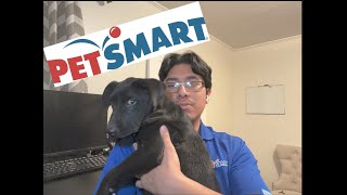 Getting HIRED FOR PETSMART