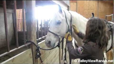 Big Slick     ***For info, price, etc., go to our website*** Valley View Ranch