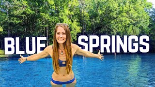 Is the NEWEST Florida State Park One of Its BEST? | Gilchrist Blue Springs