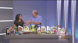 Handy Andy’s Tips To Keep Pests Away Outside