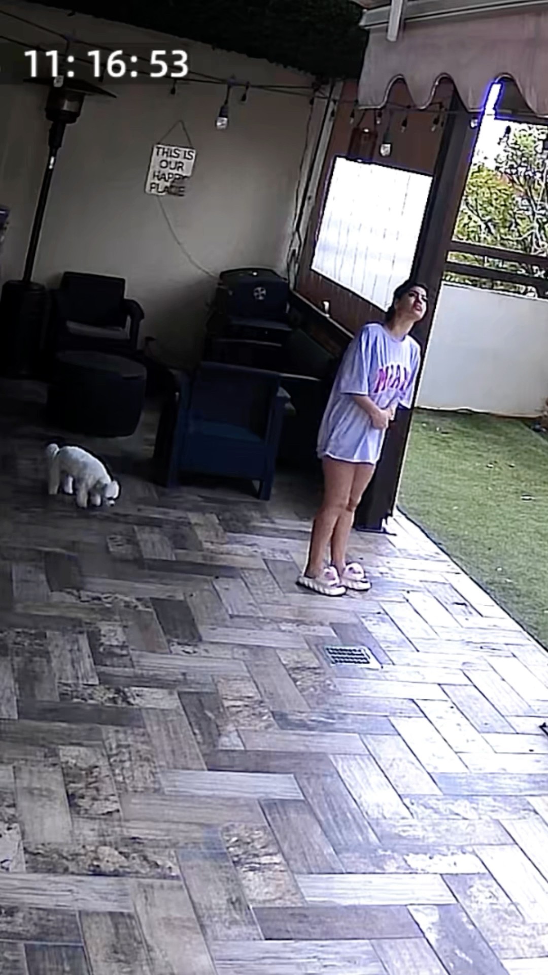 HAY INTRUSOS EN MI CASA! ?