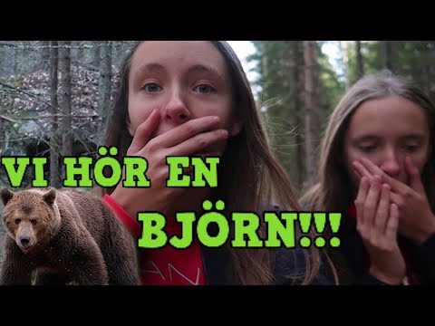 Video: Hur Man Knyter En Björn