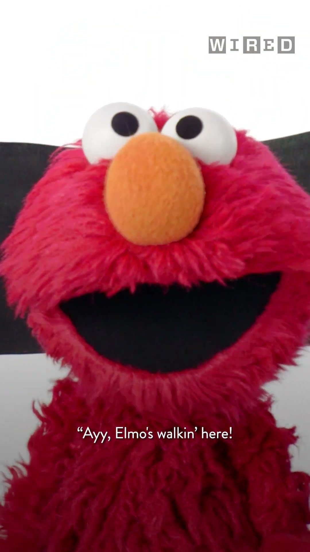 Does Elmo Have a New York Accent?