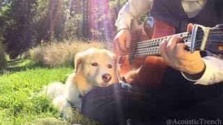 Video thumbnail of "Pure Imagination tribute in memory of Gene Wilder. Fingerstyle w/ Guitar Tabs"