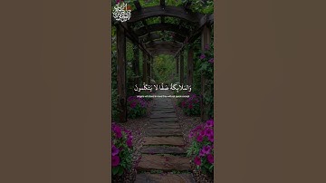 #تلاوة_خاشعة #عبدالرحمن_مسعد #القران_الكريم #تفاعلكم