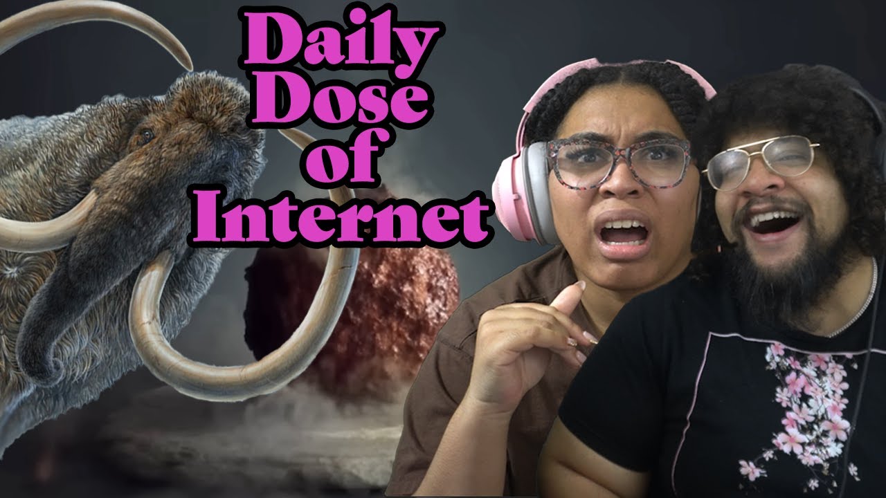 Ежедневная доза Интернета: фрикадельки из шерстистого мамонта?!?