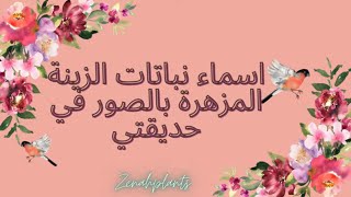 اسماء نباتات الزينة المزهرة بالصور في حديقتي