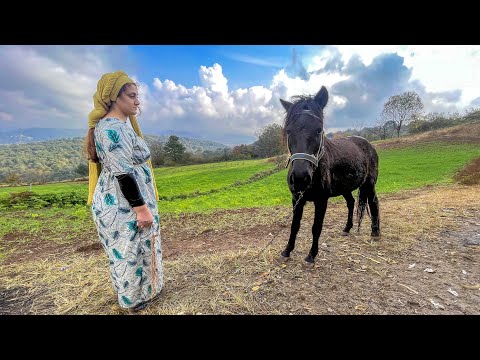 IRAN nomadic life | daily routine village life of Iran | Nomadic lifestyle of Iran