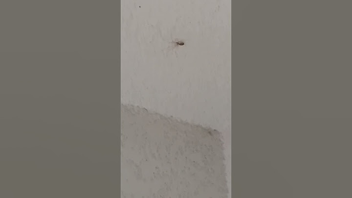 Devinez Ce que C