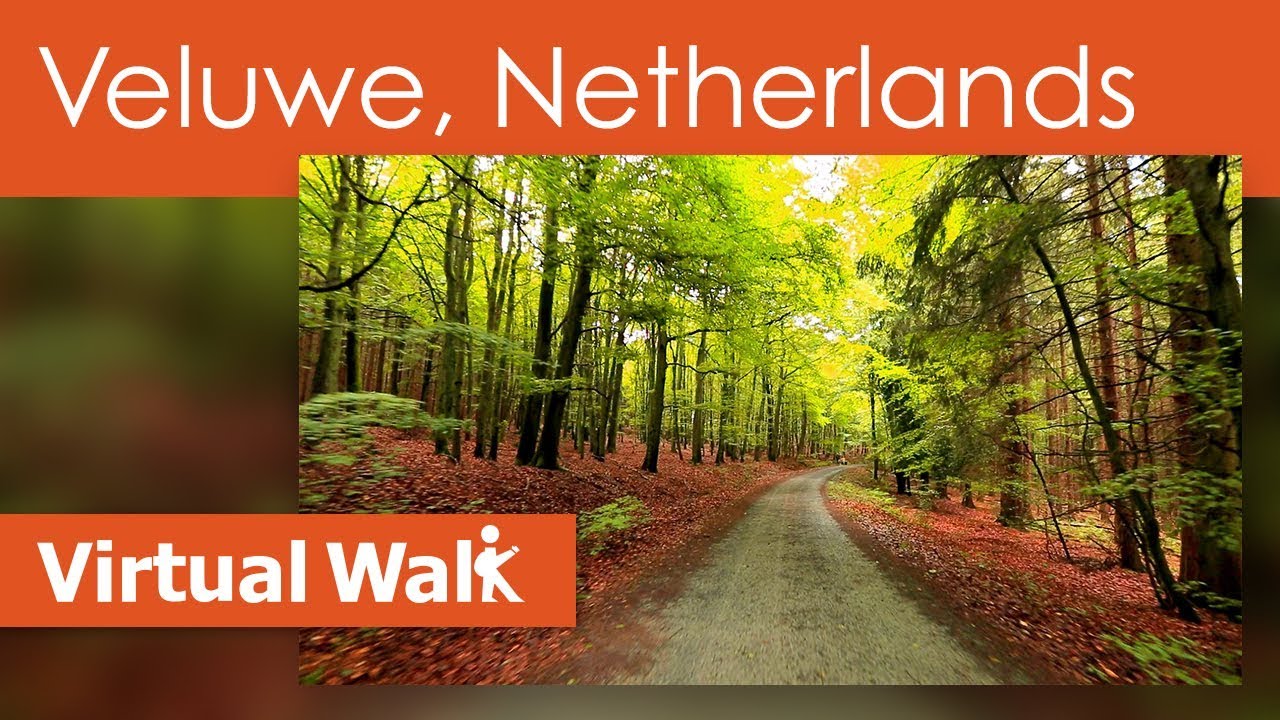 Virtual Walk A Day At The Forest HD