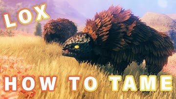How to Tame a LOX ► Valheim