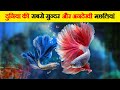 दुनिया की 10 सबसे अजीब और विचित्र मछलियां | Most Unique & Rare Fish In The World