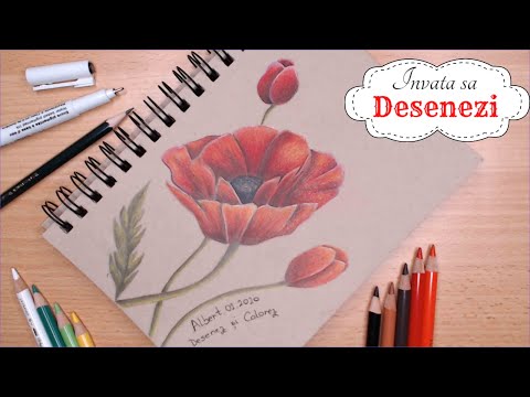 Video: Cum Să Desenezi Un Mac