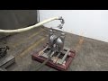 Wilden Diameter Positive Displacement Diaphram Pump Demonstration