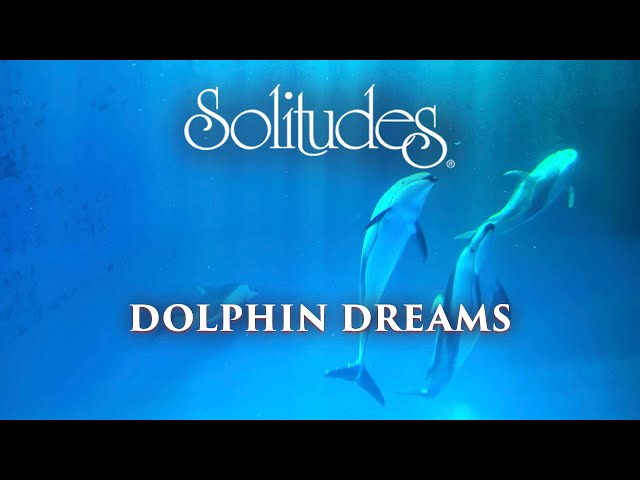 Dan Gibson's Solitudes - Magic Dolphin