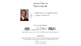 Hippocampus - 2.2 45 Min