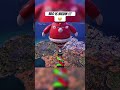Bro is not 6ix9ine!!😭 #ddydrew #fortnite #fortnitefunny